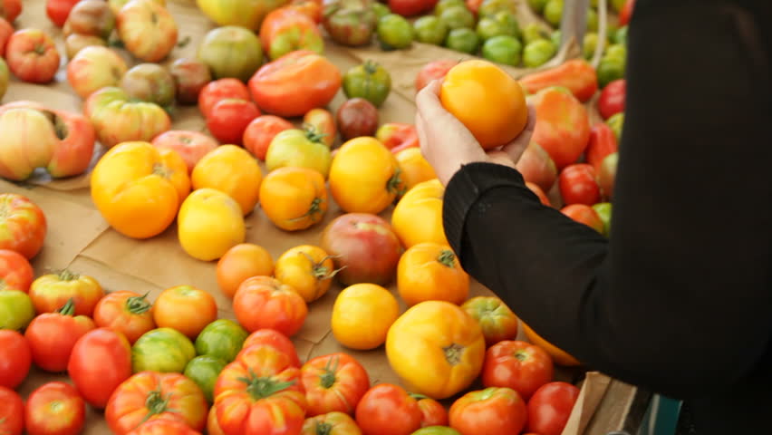 Customer picks tomato