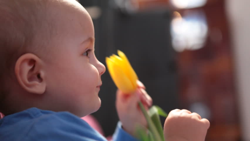 Baby with tulip
