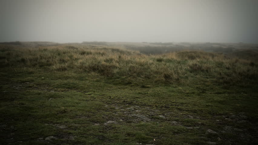 Misty Yorkshire Moor.
