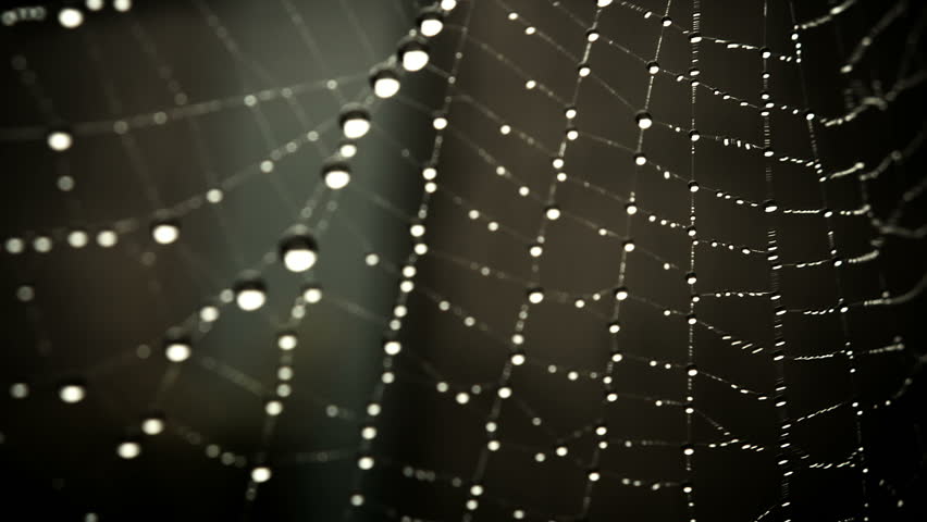 A Spiders Web.
