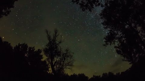 Timelapse of a starry night with a star trail effect with trees on a background