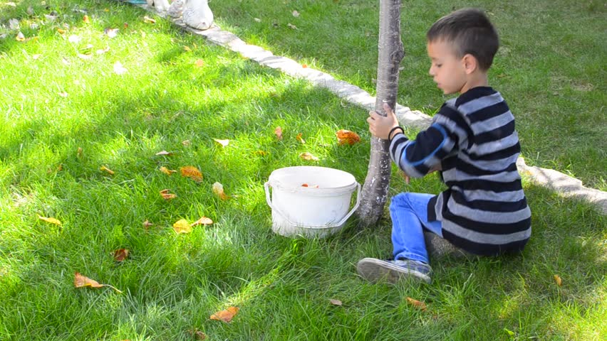 Family kid - Stock Video. Low angle view of child collecting autumn fallen leafs