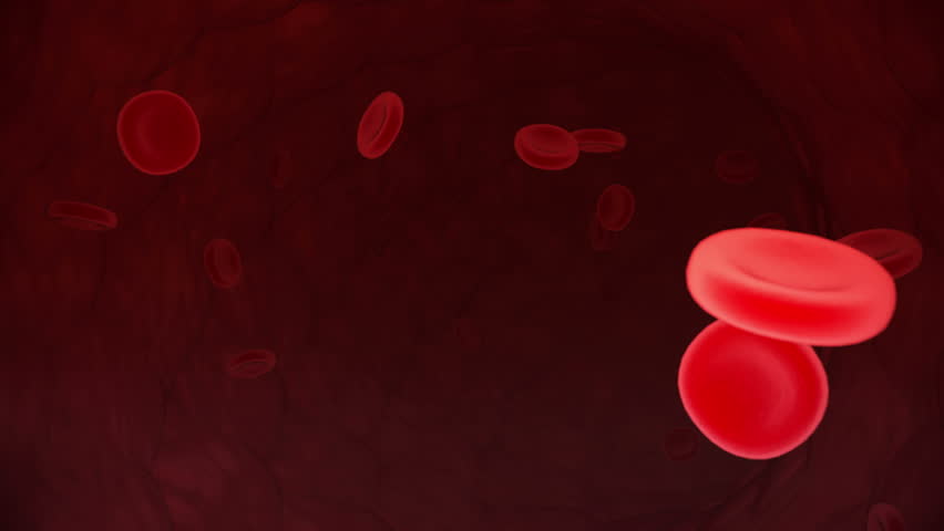 Red blood cells flow through arteries and capillaries