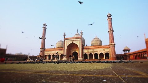 Pan shot of birds flying in front of a mosque, Jama Masjid, Delhi, India