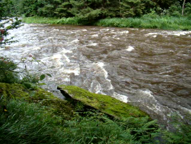River with flood
