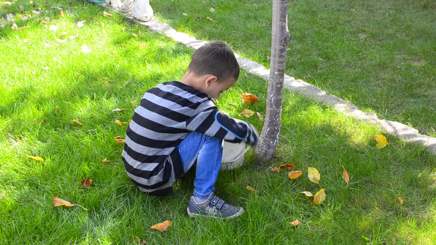 Young boy raking leaves - Stock Video. Child hand rake fallen autumn leafs in