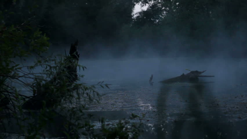 Morning Mist On The Pond Stock Footage Video 100 Royalty Free Shutterstock