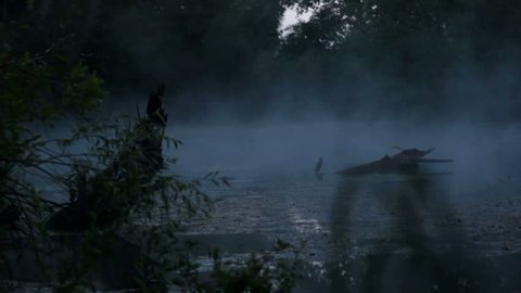 morning mist on the pond,