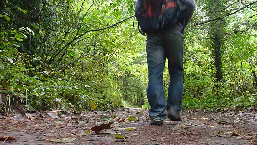 Model released man walking away on forest path in Oregon wilderness.