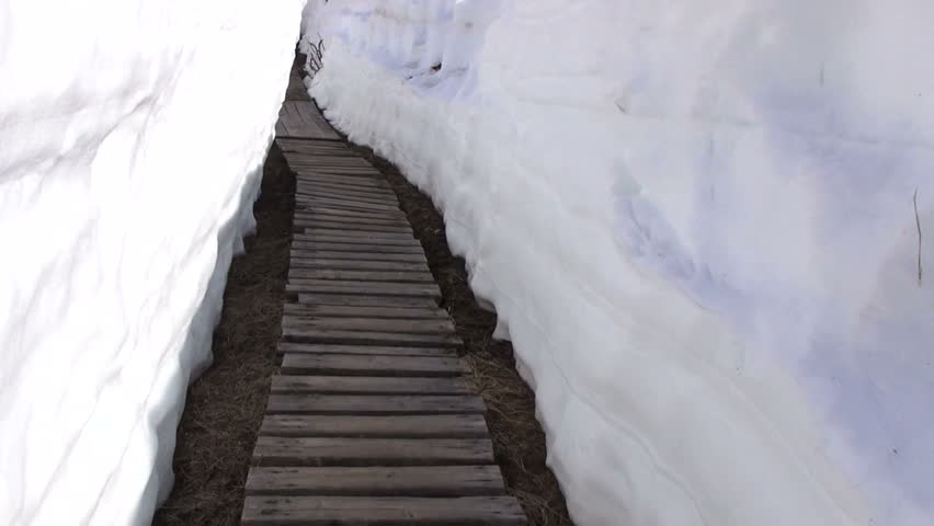 Winter landscape. Frosty weather, snowdrifts pov