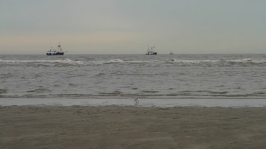 Trawler near the shore