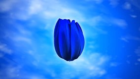 New beginning for clean earth: blue 3d flower blooming and revealing the earth. 