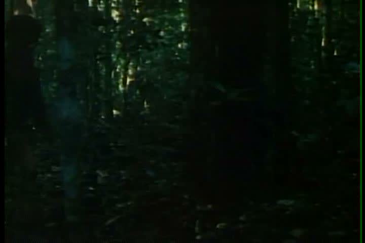 1980s - Areas of the Amazon forest basin are preserved in the 1980s.