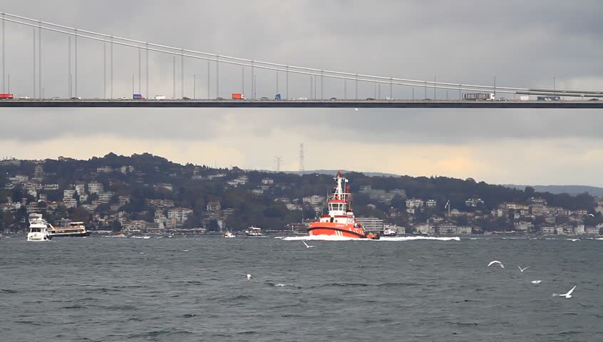 Pilotage service boat. Tugboat passing under the bridge in Istanbul, Turkey. 
