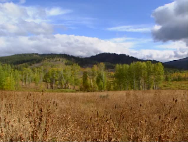 Autumn atmosphere in Two Ocean Lake valley, Grand Teton national park + pan.  