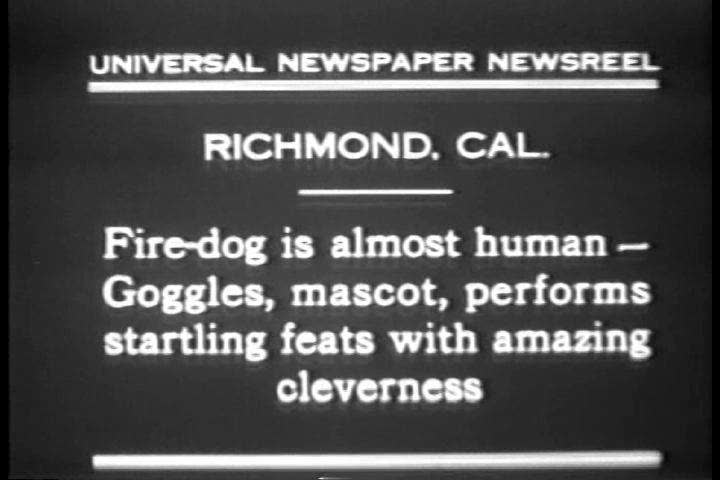 1930s - Trained dogs perform amazing stunts in 1930.