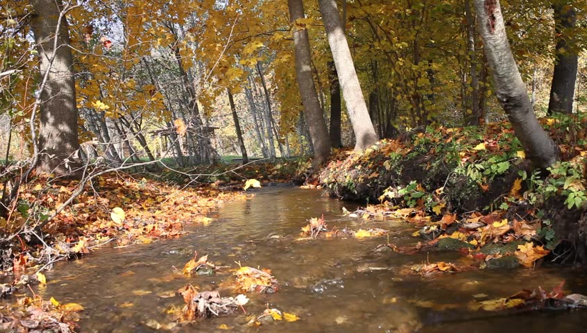 Small creek in autumn.
