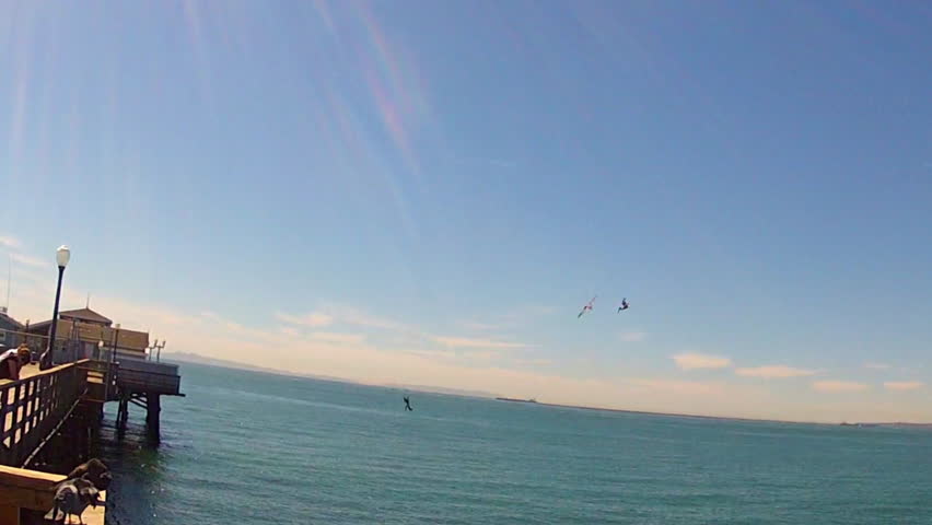 In real time, three pelicans fly over the ocean and then together dive for fish