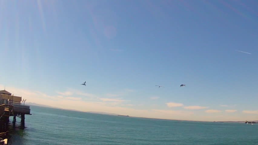 In slight slow motion, three pelicans fly over the ocean and then together dive