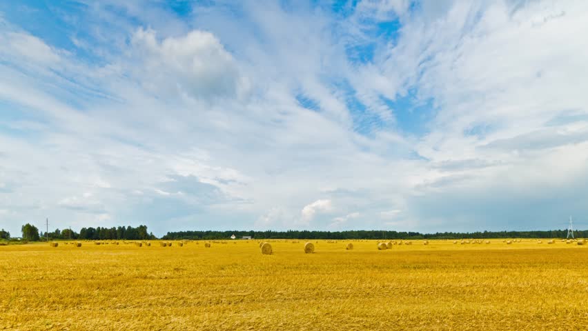 bale of hay in the field, time-lapse pan