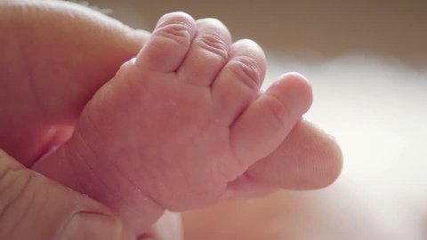 Close up of newborn baby's hand Stock Video