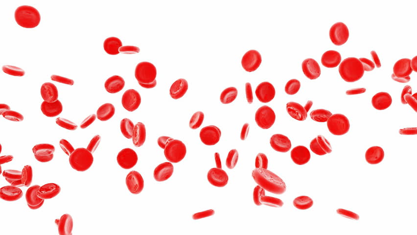 Animation of Red Blood Cells Stock Footage Video (100% Royalty-free