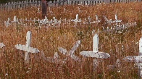 Grass grows in a derelict cemetery.