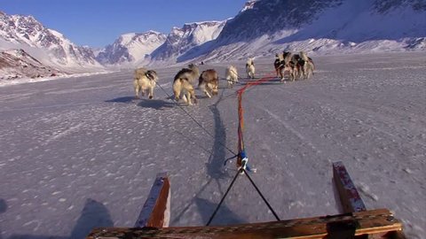 POV from a dogsled heading across the Arctic tundra.