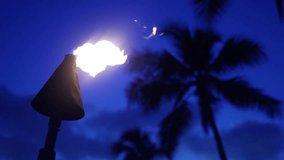Tiki Torch, Slow Motion Fire, 240 fps, Beach Lantern 
