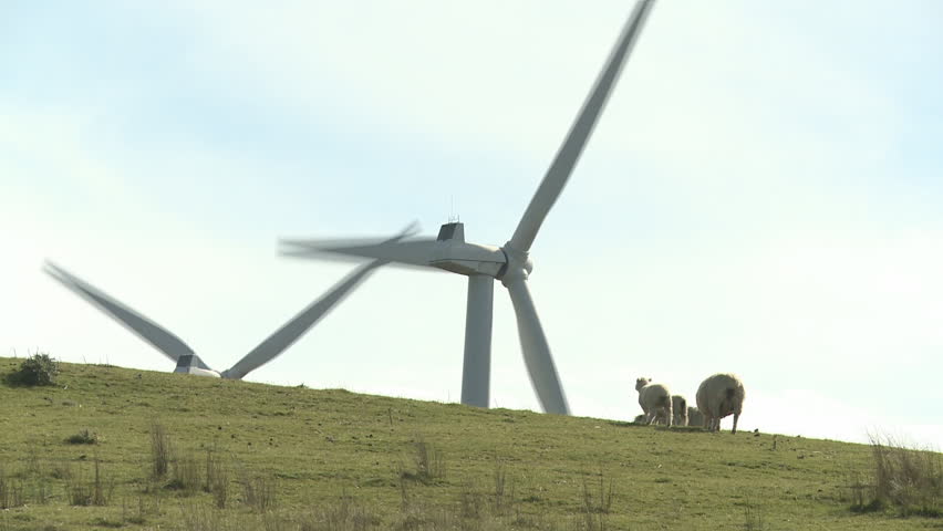 sheep on a hill with the blades of a large wind turbine in the background