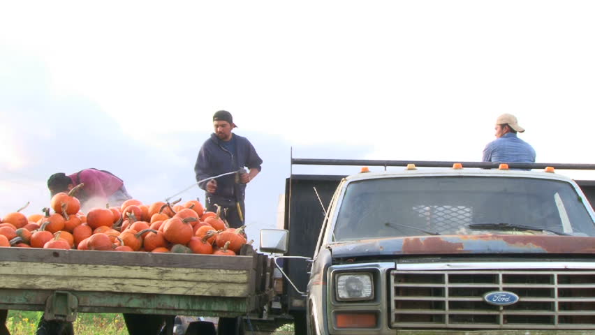 PORTLAND, OREGON - CIRCA 2013: Mexican men washing and loading pumpkins at