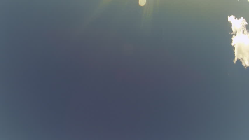 Tracking shot passing under a single tree as its trunk, branches and full green foliage are silhouetted against the blue sky. Blue Mounds State Park, Wisconsin, USA.
