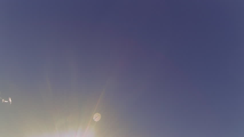 Tracking shot passing under a single tree as its trunk, branches and full green foliage are silhouetted against the blue sky. Blue Mounds State Park, Wisconsin, USA.