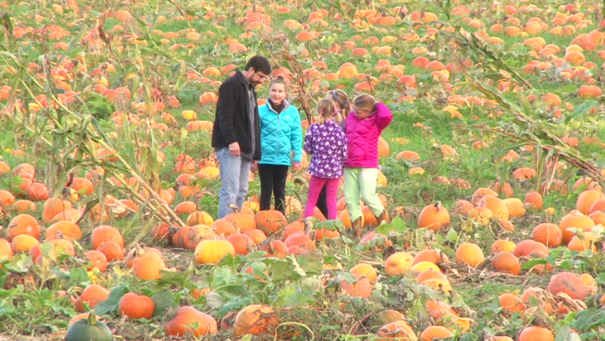 PORTLAND, OREGON - CIRCA 2013: Family at a pumpkin patch on sunny day in