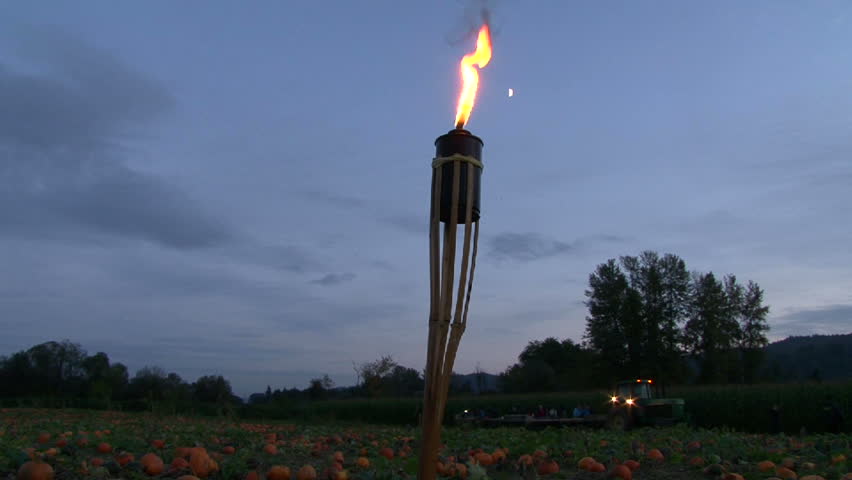 Tiki torch burning at pumpkin patch with tractor driving by.