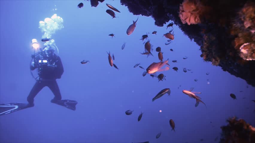 scuba diver at reef wall mediterranean sea