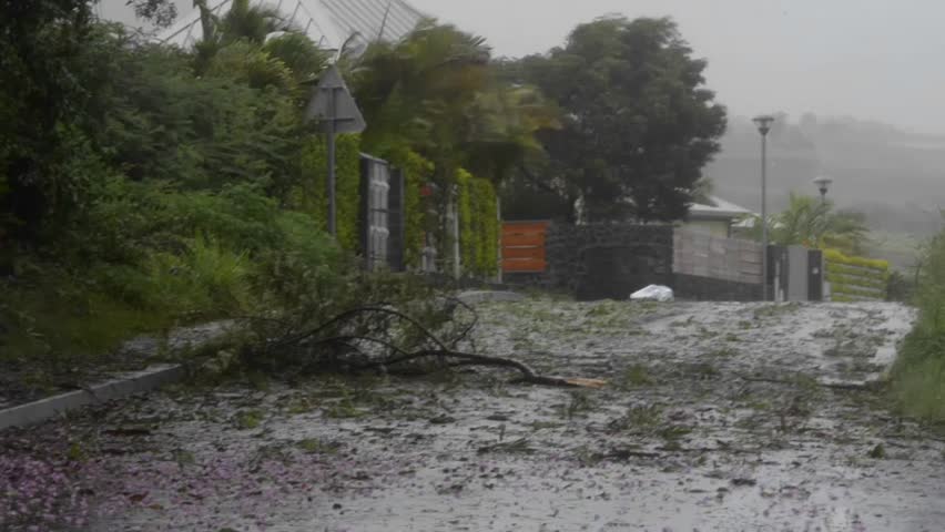 Trees are down and wind is blowing during a large storm.