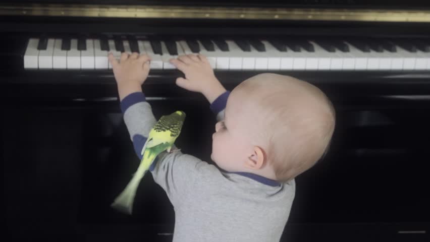 A toddler boy playing the piano with his pet parakeet