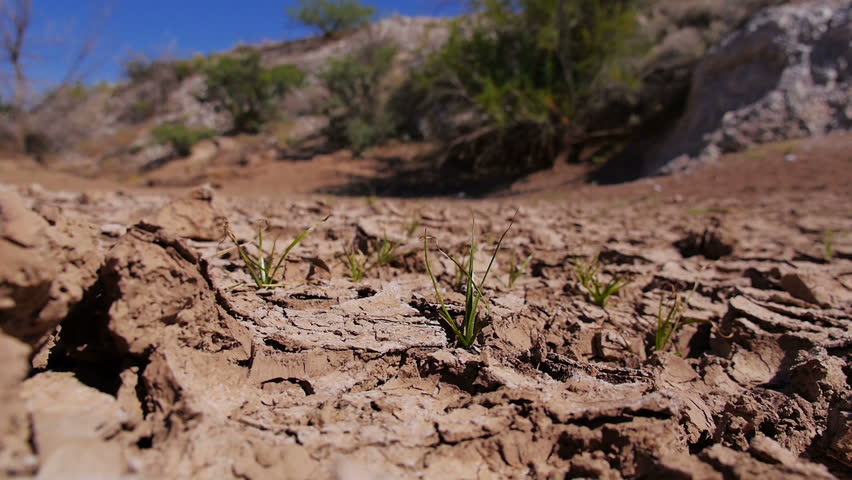 Closeup shot of dry desert ground.