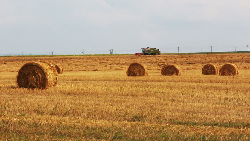 landscape with harvested bales of straw and combine-harvester