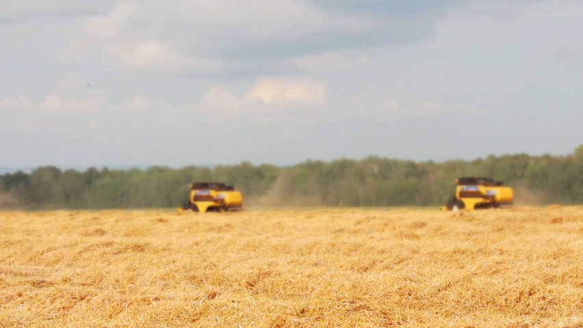 combines harvest in a field
