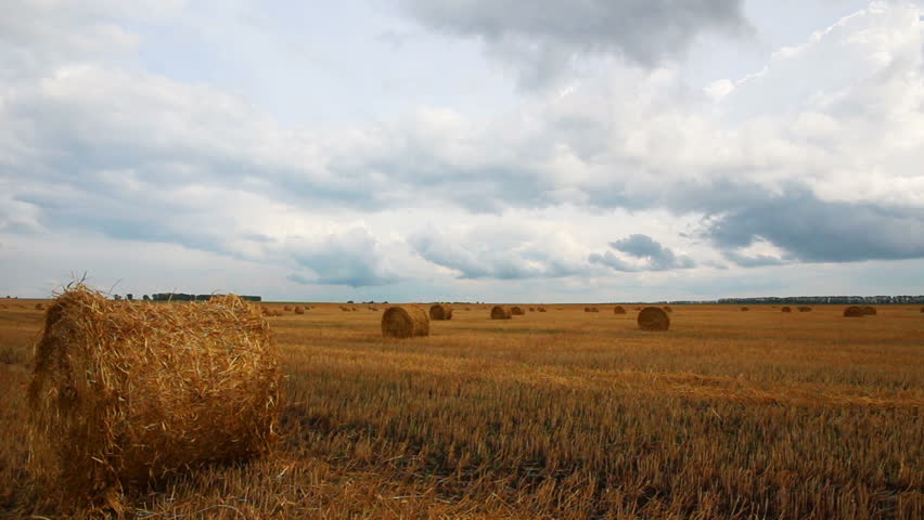 landscape with harvested bales of straw in field - timelapse