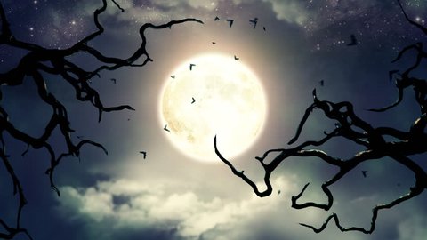 Flying bats in the light of spooky Moon - LOOP