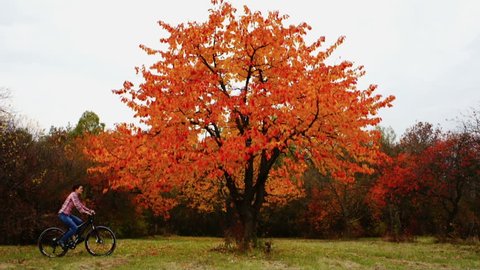 Woman riding a bike  in autumn scenery