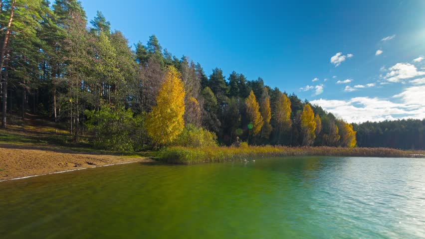 Autumn forest and lake, timelapse panorama