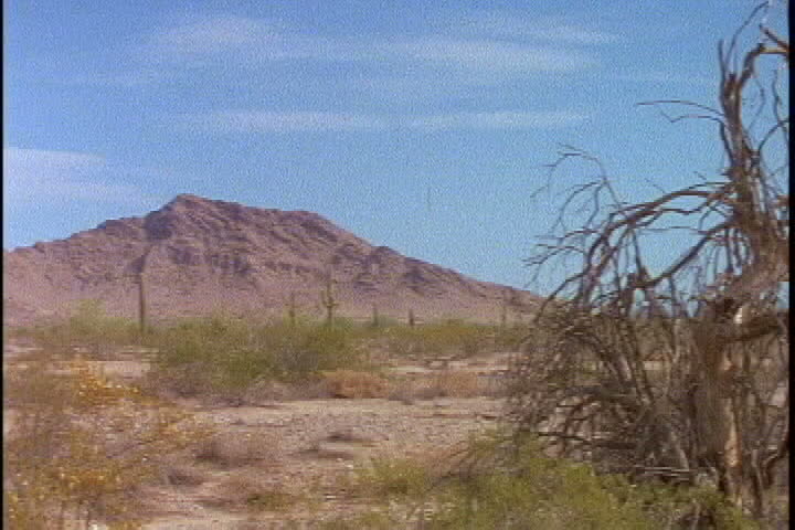 Arizona desert panorama