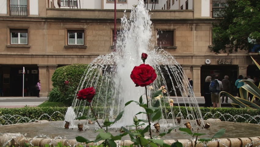 A Rose in front of a fountain in Bilbao, Spain
