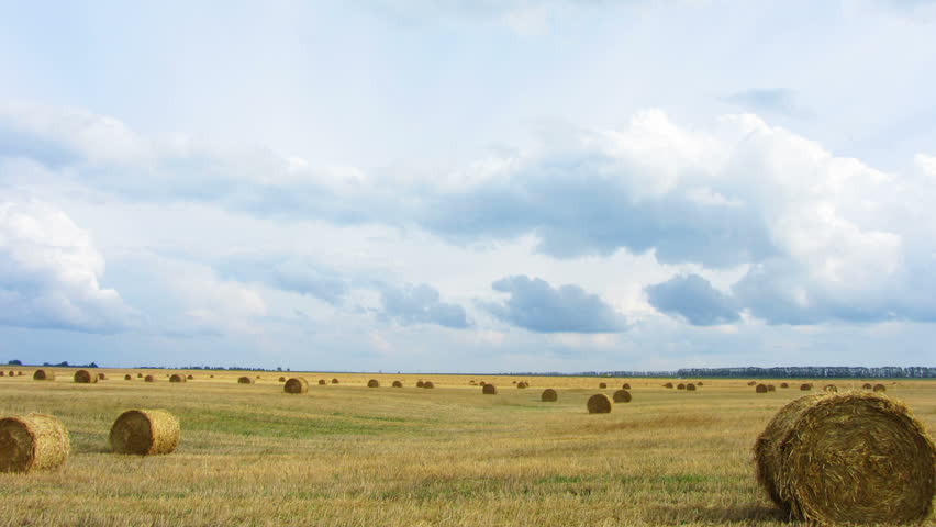 landscape with harvested bales of straw in field - timelapse