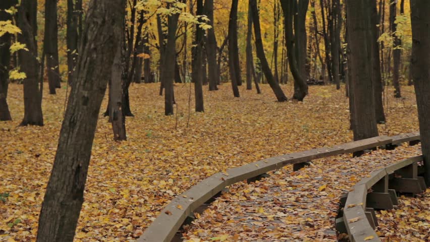 Wooden pathway in autumn park. Dolly shot.