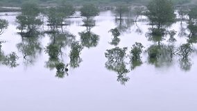Wetlands in Qinzhou,Guangxi Province,China
